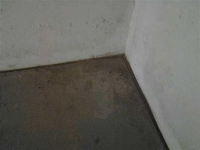 Water Stains in Basement