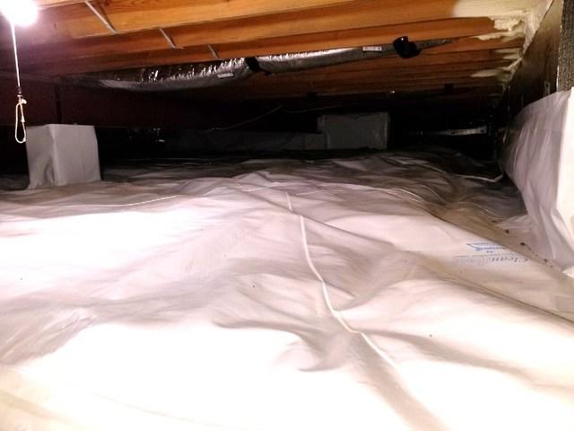 CleanSpace Liner