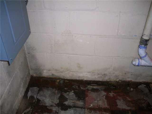 Water Stains on Basement Floor