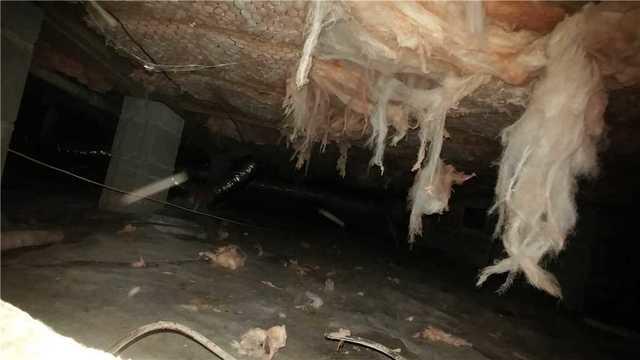 Tony C. of Hollywood, SC called Lowcountry Foundation Repair and asked to have his crawl space inspected.