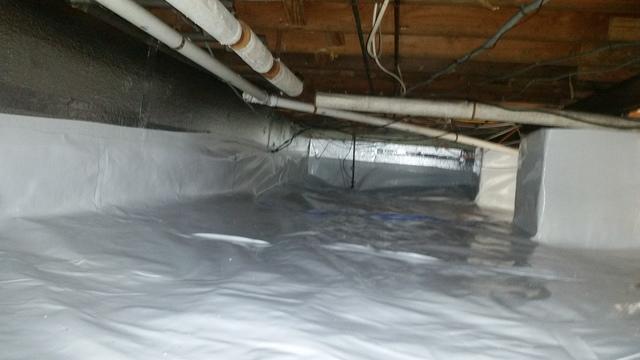 CleanSpace and SilverGlo