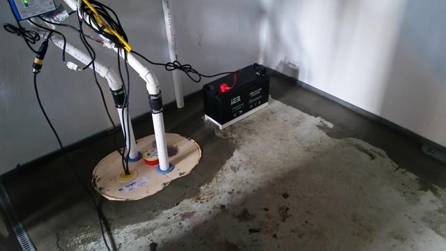 TripleSafe Pump System