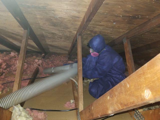 Production Crew Member Removing Old Insulation