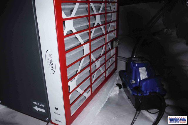 Stops Mold Growth