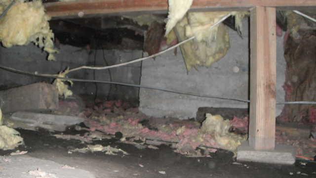 Crawl Space Repair - Before