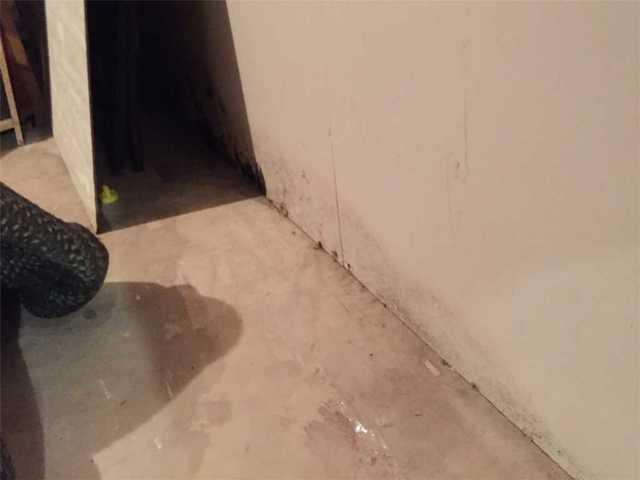 Mold and water damaged walls