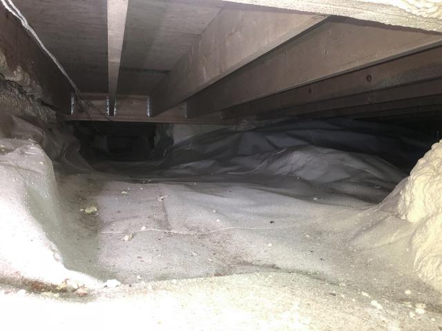 CrawlSpace