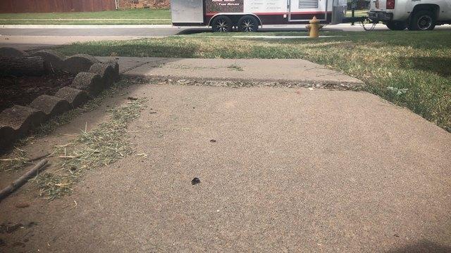 Uneven Sidewalk.