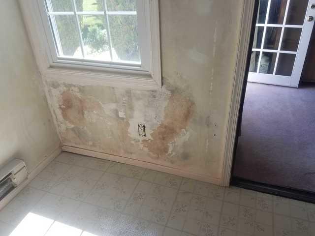 Walls Ful of Mold