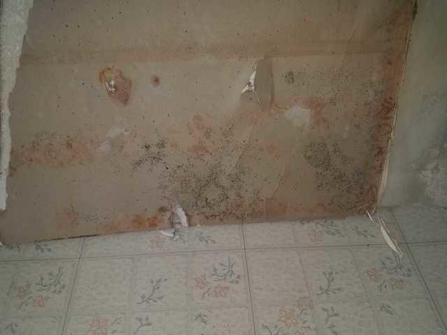 Damaged Sheetrock