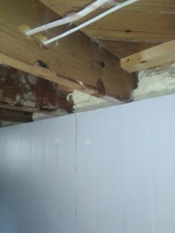 We insulated and air sealed the rim joist with closed-cell polyurethane spray foam.