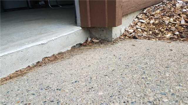 Concrete Can Move