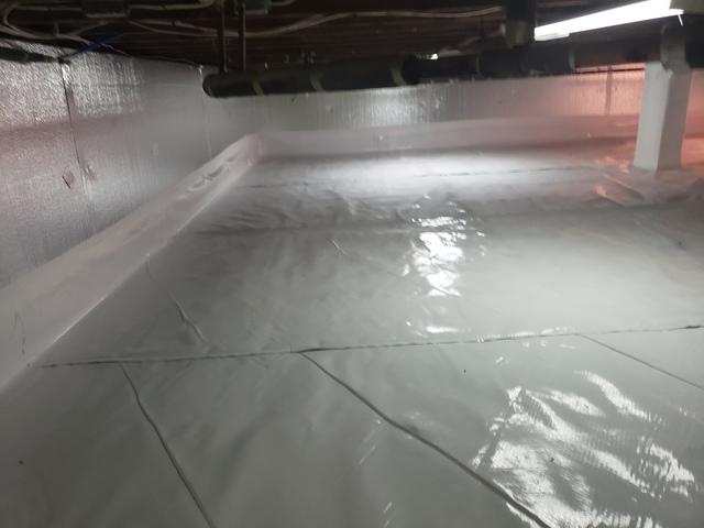 CleanSpace and SilverGlo