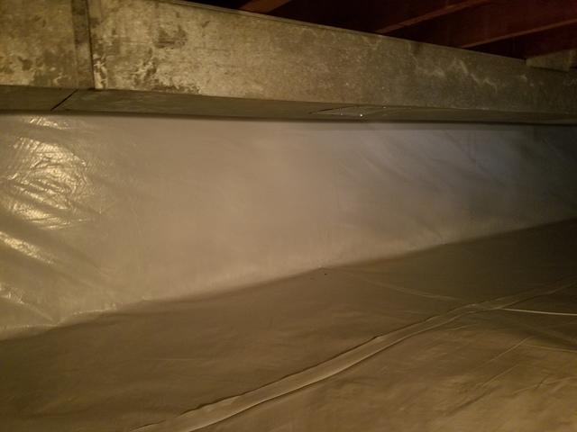 CleanSpace