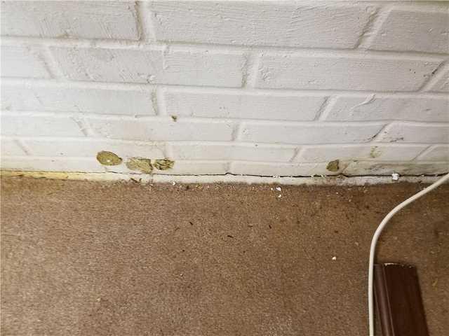 Water Damage