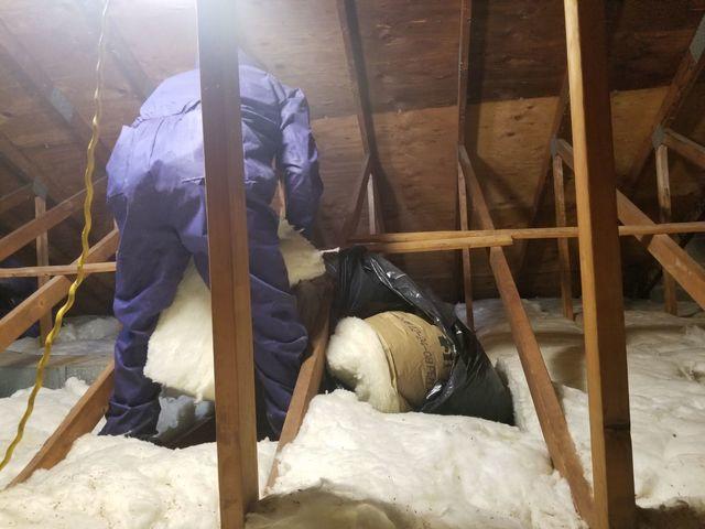 Removing Old Insulation