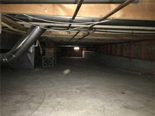 Dark Musty Crawlspace