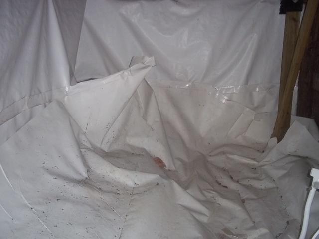 Crawl Space in Central Village, CT