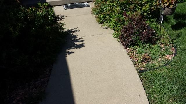 New Sidewalk