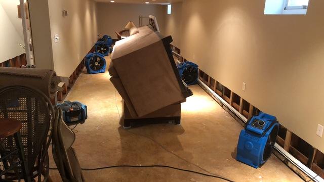 Marlboro Basement Cleanup