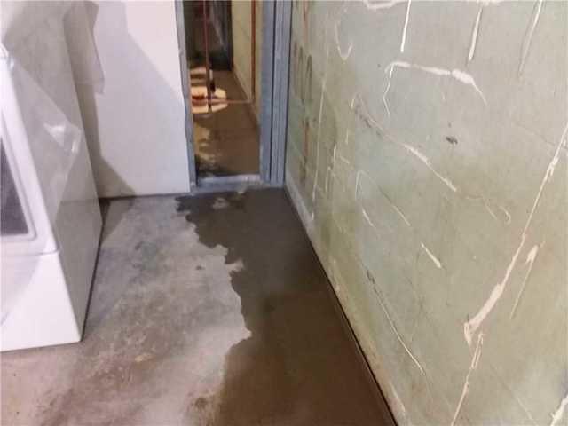 WaterGuard Does It All