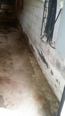 Consequences of a Wet Basement