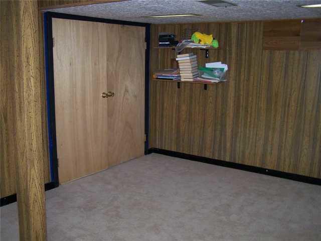 Outdated Basement