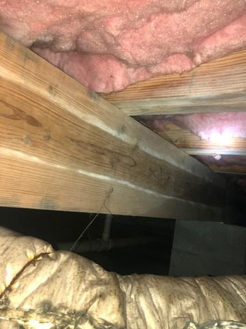 Damp Insulation Lose A Lot of Its Insulation Value