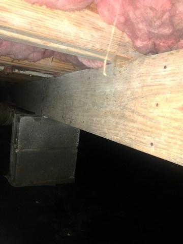 Mold on Subfloor Joists in Owensboro Crawl Space