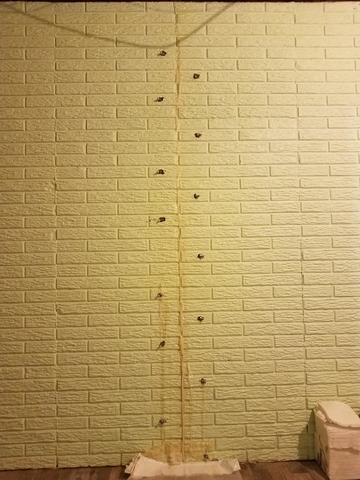 Wall Crack