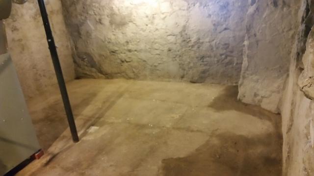 Basement Before