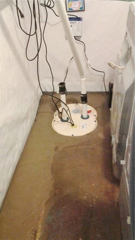 TripleSafe Sump Pump & WaterGuard
