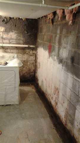 Dreary Leaky Basement Walls