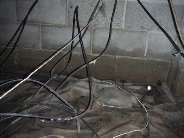 Check out the water line along that wall! Also - if you look closely, can you see the frog who was more than happy in this damp and wet crawl space in Georgetown, DE?