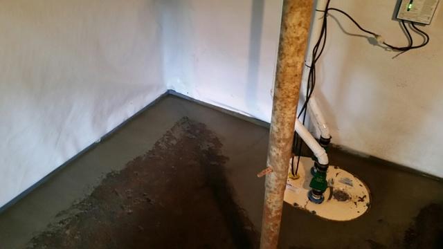 TripleSafe Sump Pump