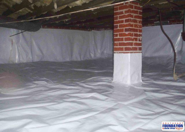 No More Mold Growth