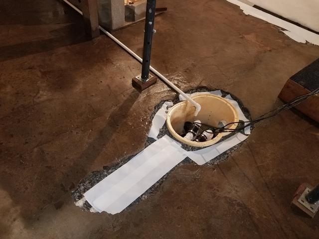 TripleSafe Sump Pump