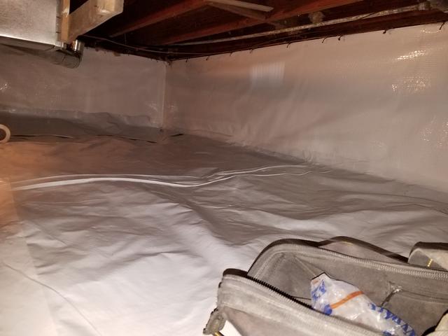CleanSpace