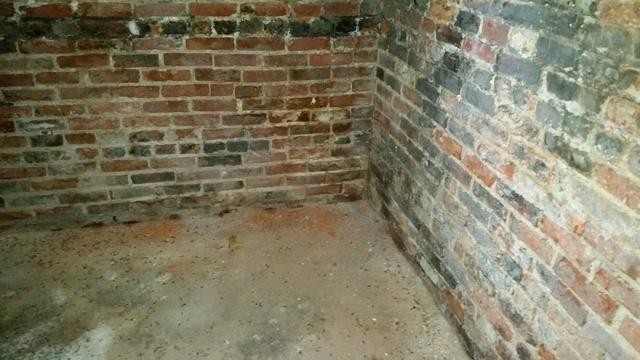 Basement Walls
