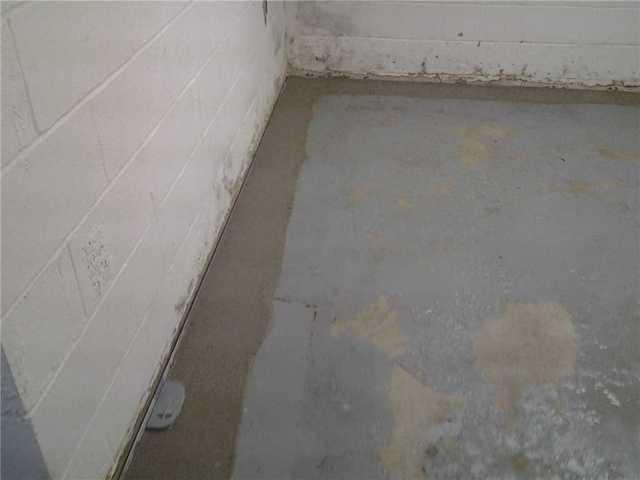 WaterGuard Inspection Port