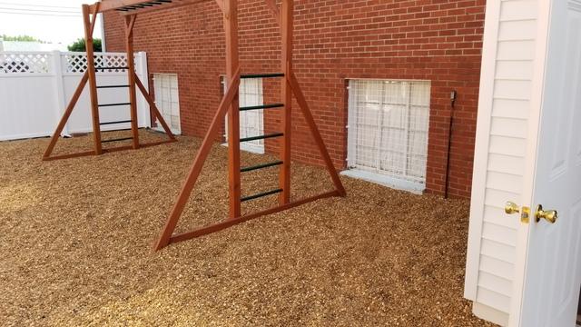 Windows at Ground Level