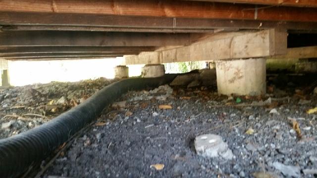 Sunroom's original concrete columns supporting the floor joist system.