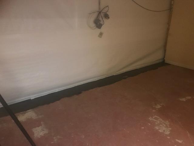 CleanSpace Wall is Up