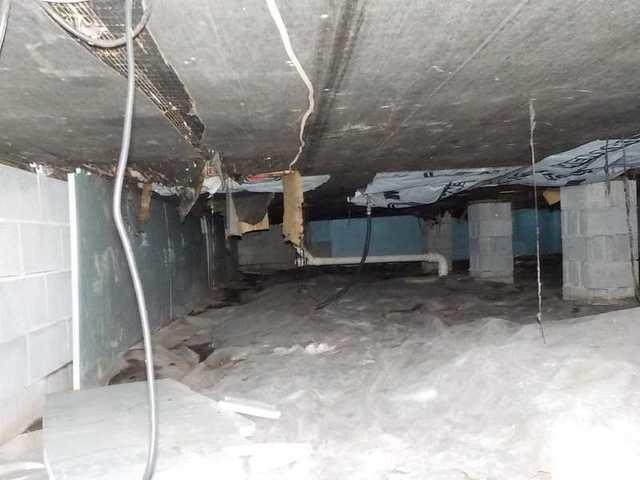 Nobody wants to live with this except for a few insects