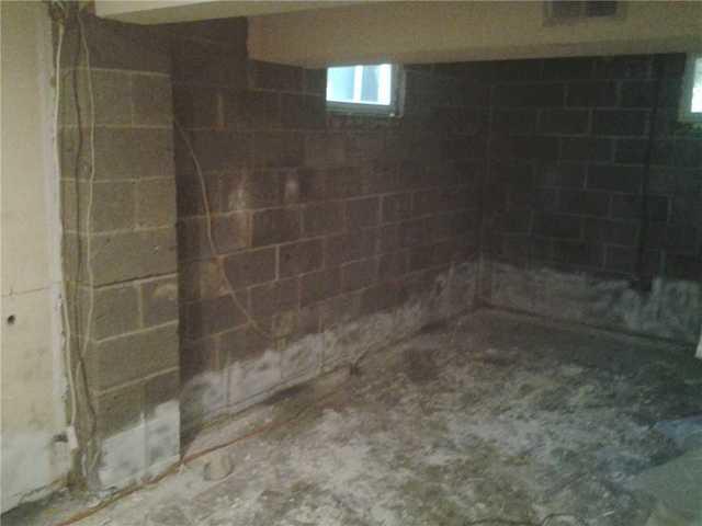 Basement Before