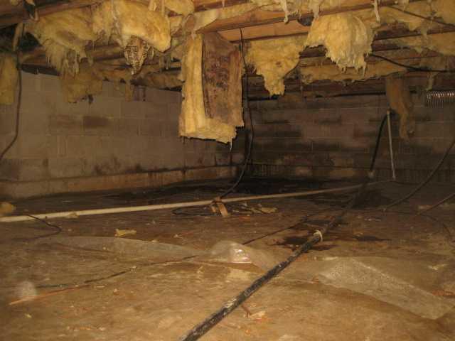 <p>Water leaks into a crawlspace in this Absecon home.</p>