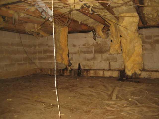 <p>Dampness shows on the walls and floors of the crawl space.</p>