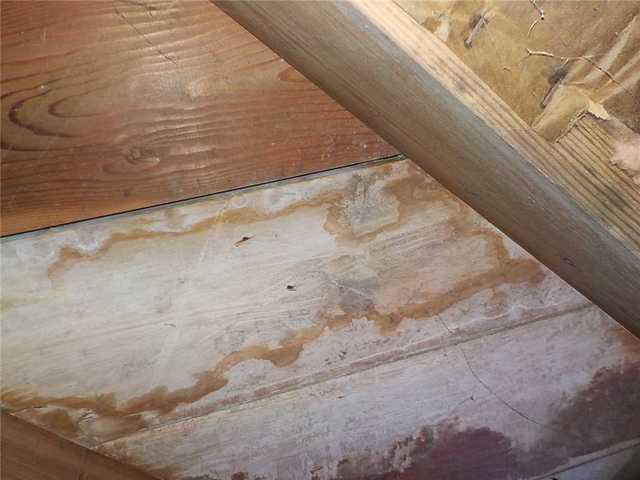 Wood Showing Signs of Moisture