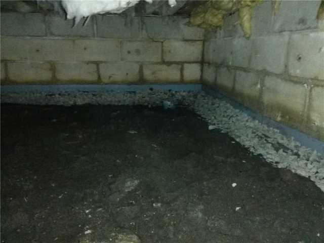 WaterGuard Drainage System