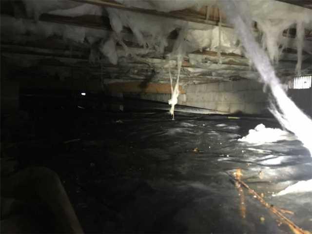 Damp Insulation in Mystic Island